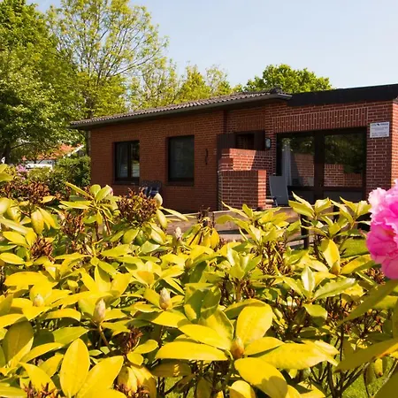 Baltrumweg 1 Holiday home